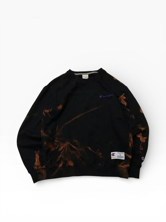 Champion sweatshirt