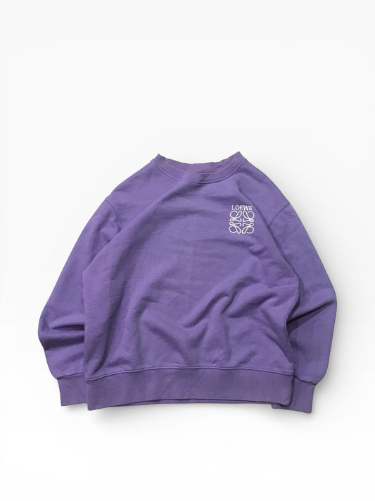 Loewe sweatshirt