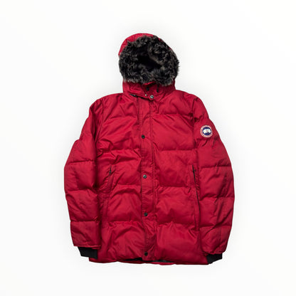 Canada goose